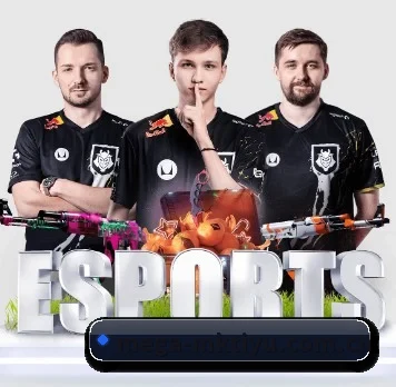 坚持做好基础的事 - mksports